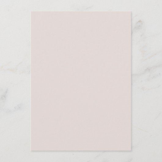  Blush Pink Agate Modern bruiloft details Informatiekaartje (Achterkant)