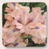 Blush Pink Bearded Iris Floral Bier Onderzetter (Voorkant)