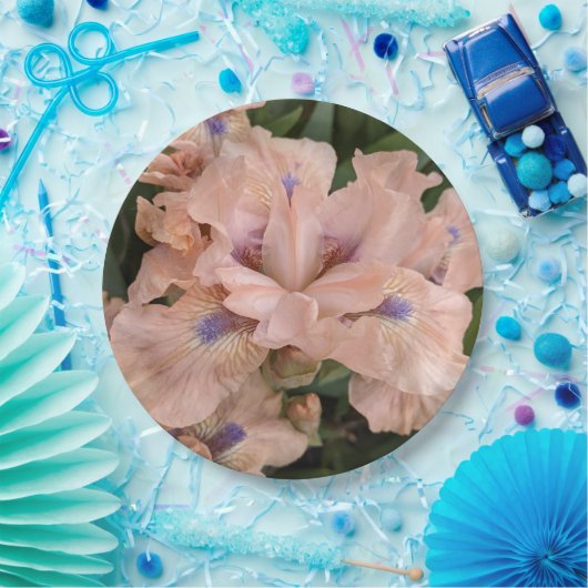 Blush Pink Bearded Iris Floral Paper Bord