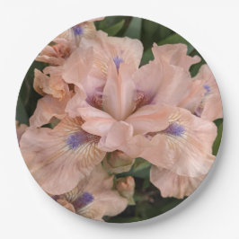 Blush Pink Bearded Iris Floral Paper Bord