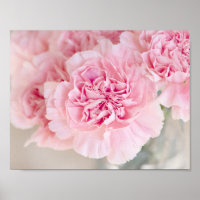 Blush Pink Carnations
