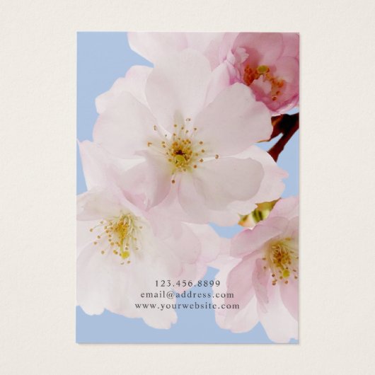 Blush Pink Cherry Blosbezinkspieken Kaart voor mas (Achterkant)