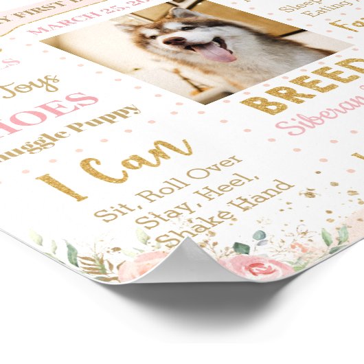 Blush Pink Floral Dog Puppy 1e verjaardag Mileston Poster (Hoek)