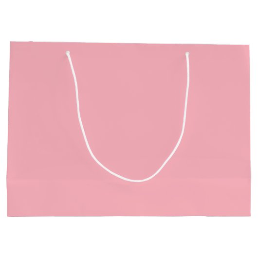 Blush Pink Gift Bag Groot Cadeauzakje (Achterkant)