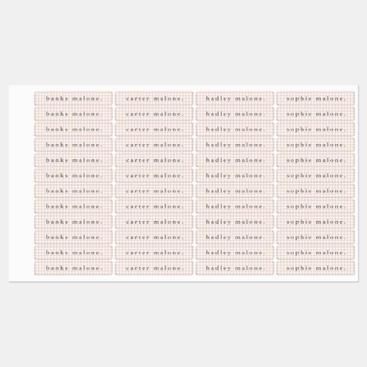 Blush Pink Gingham Waterdichte Naam Labels (Vel)