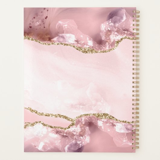 Blush Pink Gold Chic Glitter Gold Agate Monogram Planner (Achterkant)