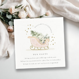 Blush Pink Gold Winter Sleigh Fun Facts Birthday Servet