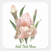 Blush Pink Iris Vierkante Sticker (Voorkant)