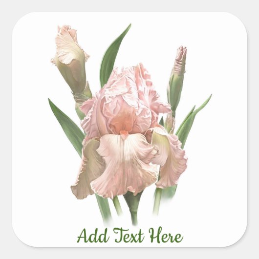 Blush Pink Iris Vierkante Sticker (Voorkant)