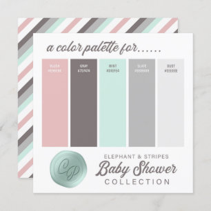 Blush Pink & Mint Baby shower Kleur Palet Kaart