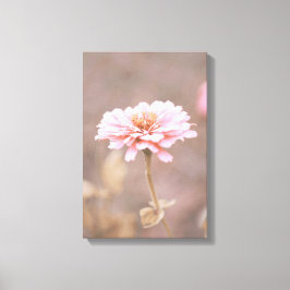 Blush Pink Montana Wildflower Canvas Afdruk