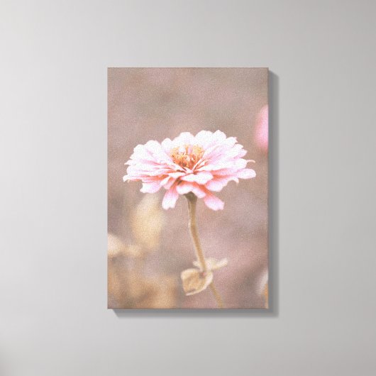 Blush Pink Montana Wildflower Canvas Afdruk (Voorkant)