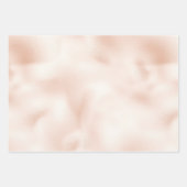 Blush Pink Peach Roos Glitter Inpakpapier Vel (Voorkant)