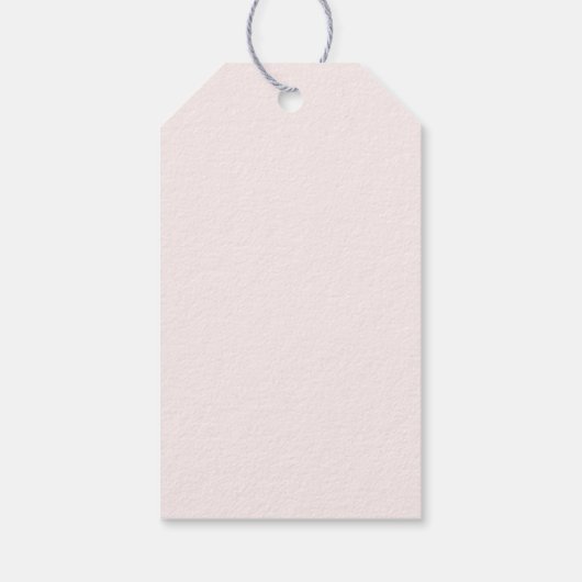Blush Pink Quinceanera Cadeaulabel (Achterkant)