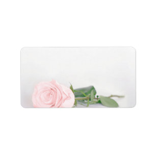 Blush Pink Rose Blank DIY Print Trouwadres Etiket