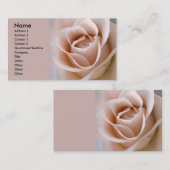 Blush Pink Rose Visitekaartje (Voorkant / Achterkant)