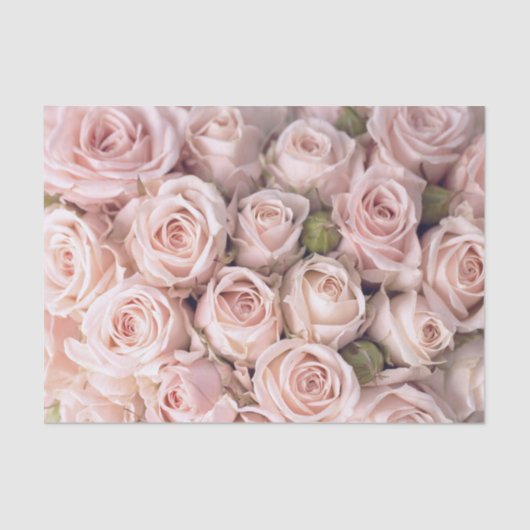 Blush Pink Roses Weefselpapier Tissuepapier (Voorkant)