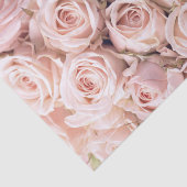 Blush Pink Roses Weefselpapier Tissuepapier (Detail)