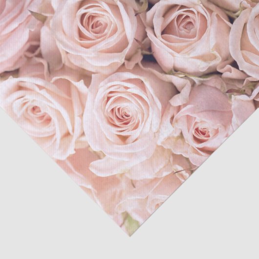 Blush Pink Roses Weefselpapier Tissuepapier (Detail)