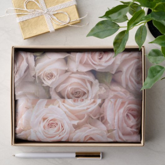Blush Pink Roses Weefselpapier Tissuepapier (Geschenk)