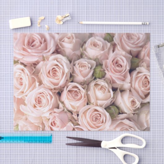 Blush Pink Roses Weefselpapier Tissuepapier (Craft)