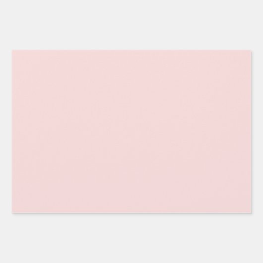 Blush Pink & Silver Ballerina Pattern Inpakpapier Vel (Voorkant 3)