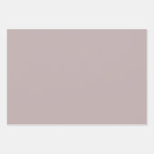 Blush Pink & Silver Ballerina Pattern Inpakpapier Vel (Voorkant 2)