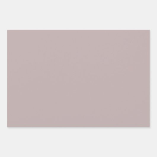 Blush Pink & Silver Ballerina Pattern Inpakpapier Vel (Voorkant 2)