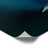 Blush plumeria Poster (Hoek)