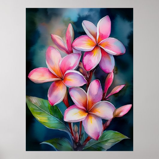 Blush plumeria Poster (Voorkant)