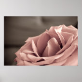 Blush Poster (Voorkant)