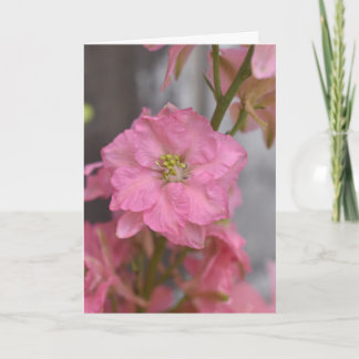 Blush Reverence – Roze Bloesem Macro Bloem Kaart