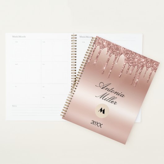 Blush Roos druppelen glitter metallic glans Planner (Display)