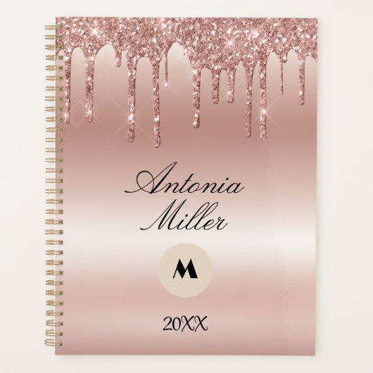 Blush Roos druppelen glitter metallic glans Planner (Voorkant)