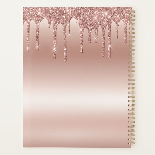 Blush Roos druppelen glitter metallic glans Planner (Achterkant)
