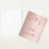 Blush roos gouden sterren dripping monogram naam 2 planner (Display)
