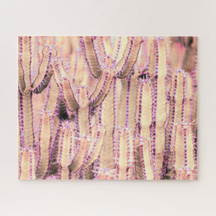 Blush Roos kwarts roze cactus Legpuzzel