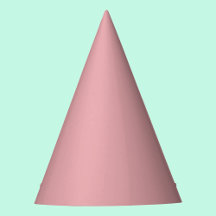 Blush Roos Roze Effen Kleur | Klassiek | Elegant