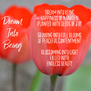 Blush Roze Bloemendroom Gedicht (geschreven door m Magneet