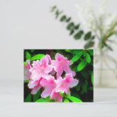 Blush roze briefkaart (Staand voorkant)