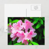 Blush roze briefkaart (Voorkant / Achterkant)