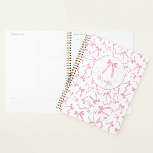 Blush roze coquette lint patroon gepersonaliseerd planner (Display)