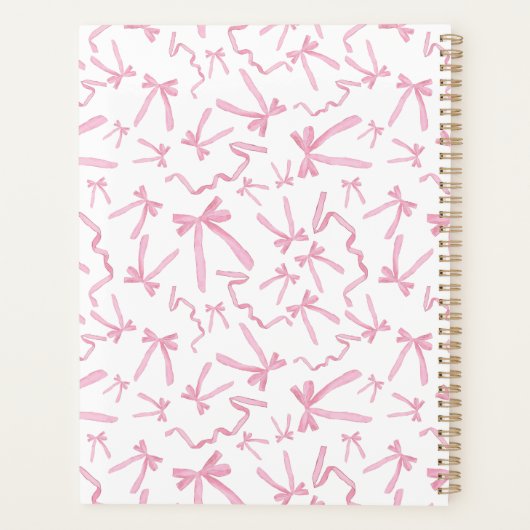 Blush roze coquette lint patroon gepersonaliseerd planner (Achterkant)