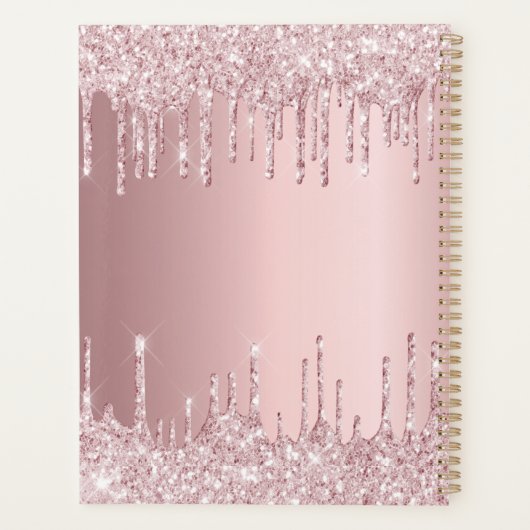 Blush roze druppels naam 2026 planner (Achterkant)