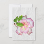 Blush Roze en witte roze Blanco binnenzijde Opmerk Bedankkaart (Voorkant)