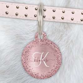 Blush Roze geborsteld metaal Glitter Monogram Naam Huisdierpenning