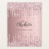 Blush roze glitter druppels monogram script 2025 planner (Voorkant)