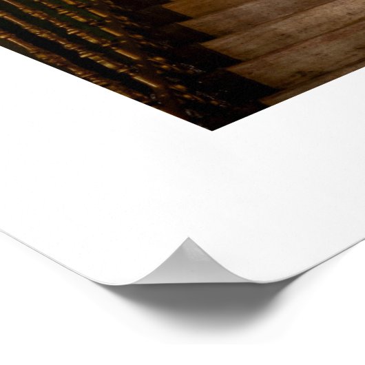 Blush roze & Gold Photo Quinceanera Poster (Hoek)