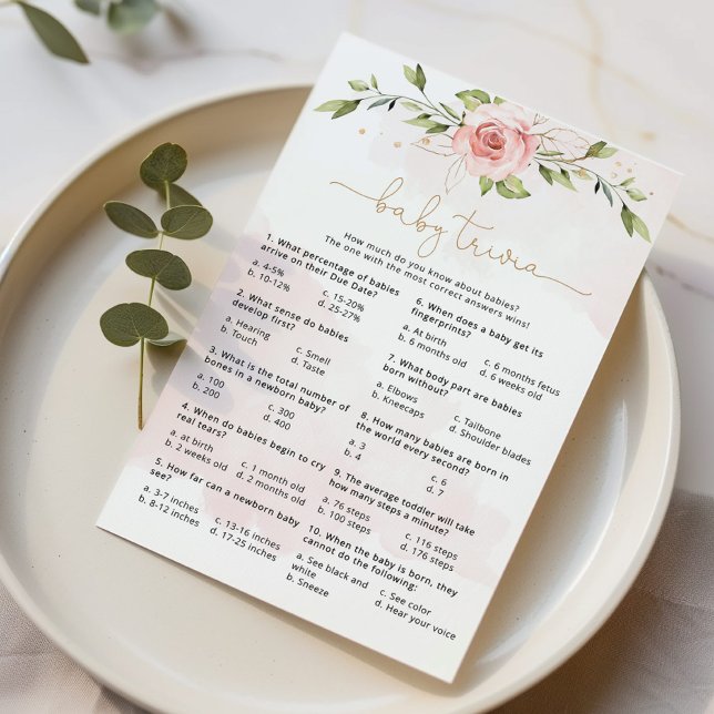 Blush roze groene baby trivia game (Creator heeft geüpload)