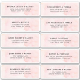 Blush Roze Ivoor waterverf Bruiloft Gast Adres Sticker